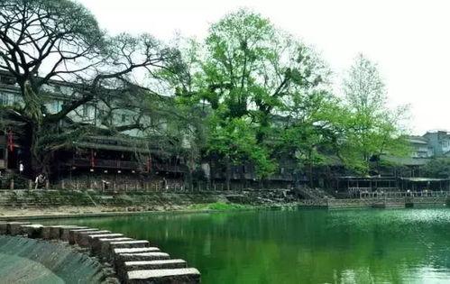 娱乐吃瓜酱四川眉山,眉山美食之旅，探寻四川风情