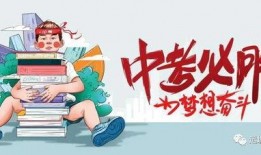 新疆新瓜子最新爆料消息,揭秘行业新动态与市场新趋势