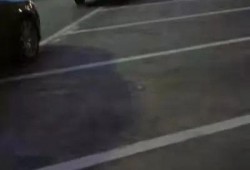 东莞车主爆料最新消息,揭秘东莞交通新动态与车主心声
