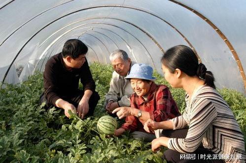 哪里都有中国人娱乐吃瓜,中国“吃瓜群众”的足迹